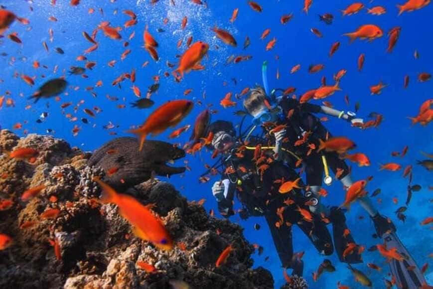 Full day diving in the Red Sea