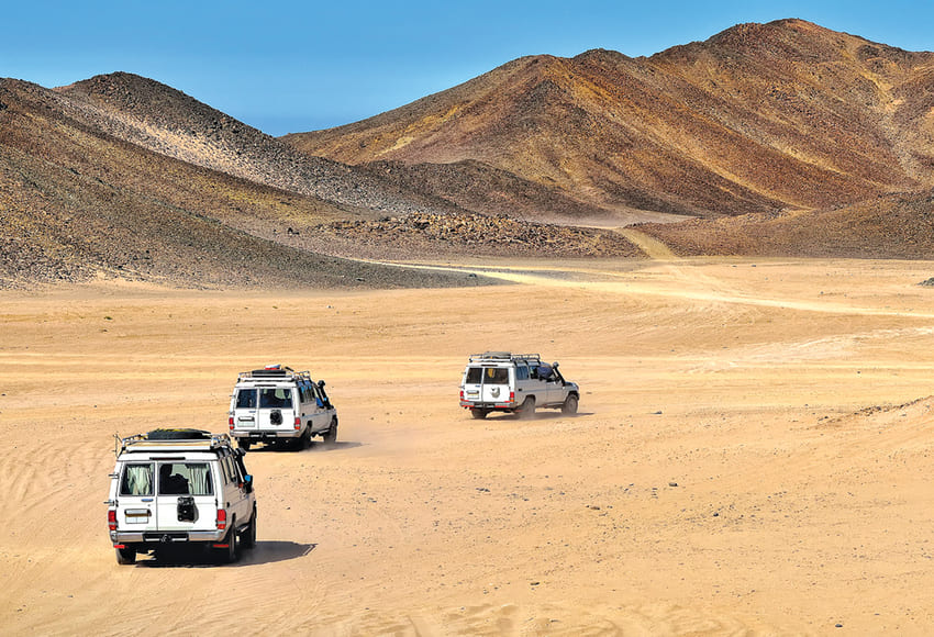 Sahara Park safari trip