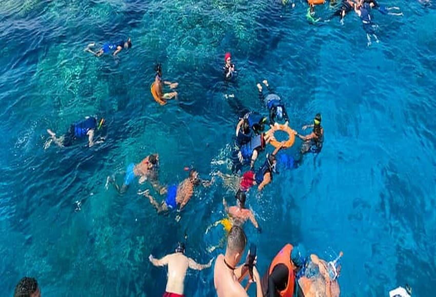 Snorkeling Trip to the Ras Mohamed National Park and White Island by Boat