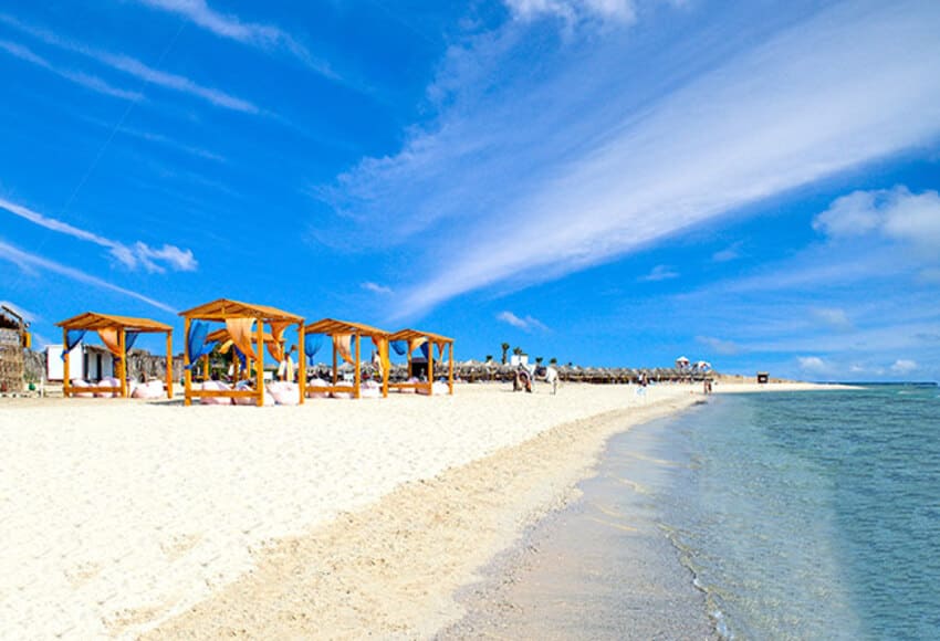 Day trip to Abu Dabbab Beach with Lunch