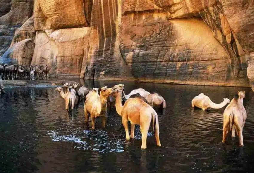 Dobrodružství na safari výlet Wadi El Gemal z Marsa Alam